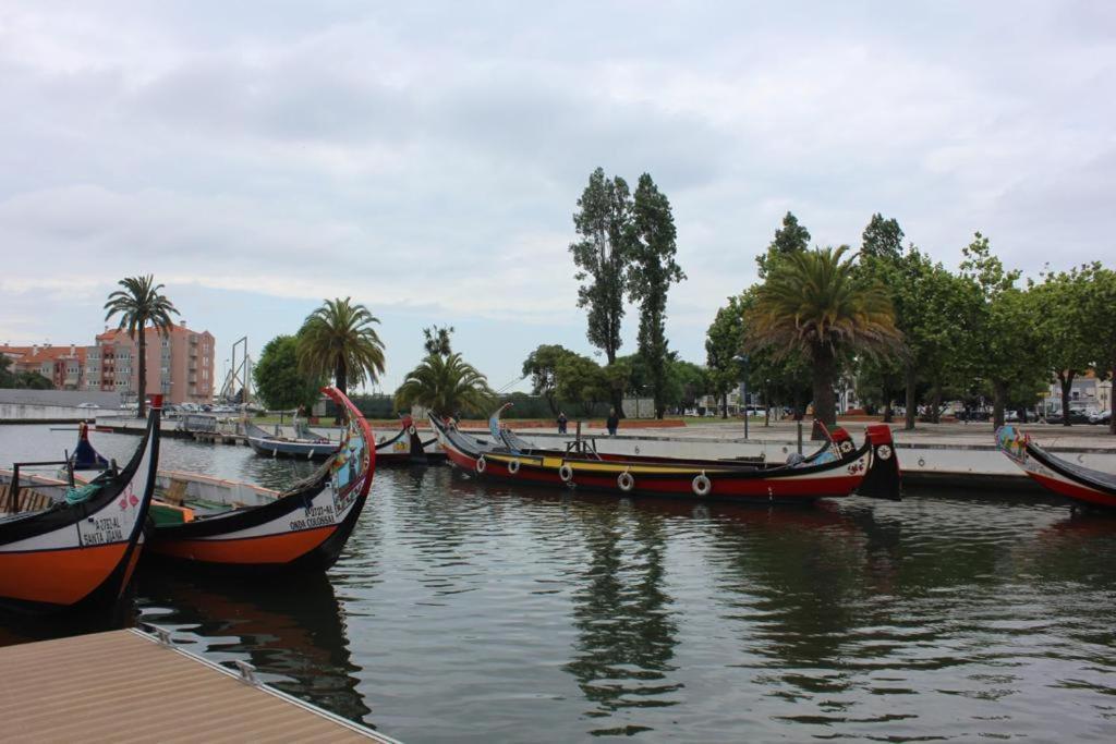 Apartament Ninho Citadino Aveiro Zewnętrze zdjęcie